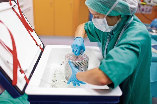 Eine Box mit einem Spenderherz wird im Operationssaal des Kinderspitals Zürich aus der Kühltruhe genommen. Bild: Gaëtan Bally/Keystone (Zürich, 11. Dezember 2011)