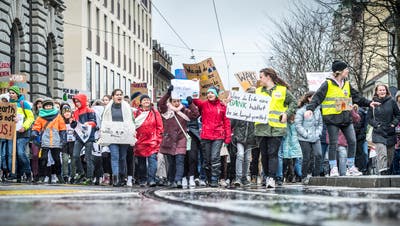 Klimastreik im März in Frauenfeld. (Bild: Andrea Stalder)