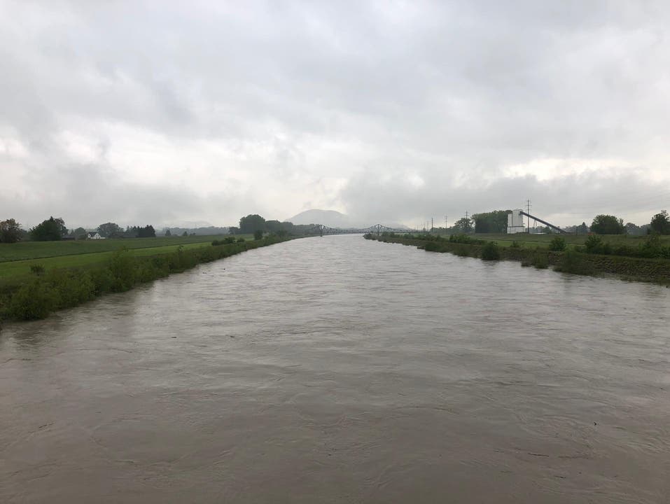 Auch der Rhein, aufgenommen bei Diepoldsau, führt viel Wasser mit sich. (Bild. Fm1Today, Marc Hanimann)