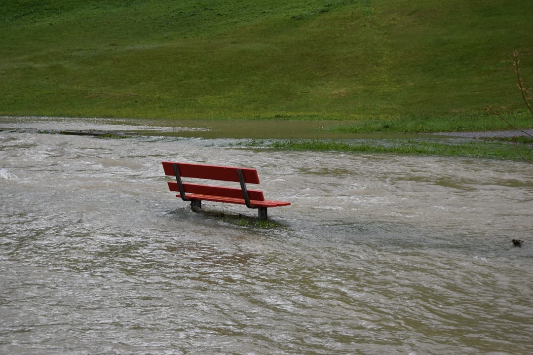 Überschwemmter Spazierweg in Alt St.Johann. (Bild: Timon Kobelt)