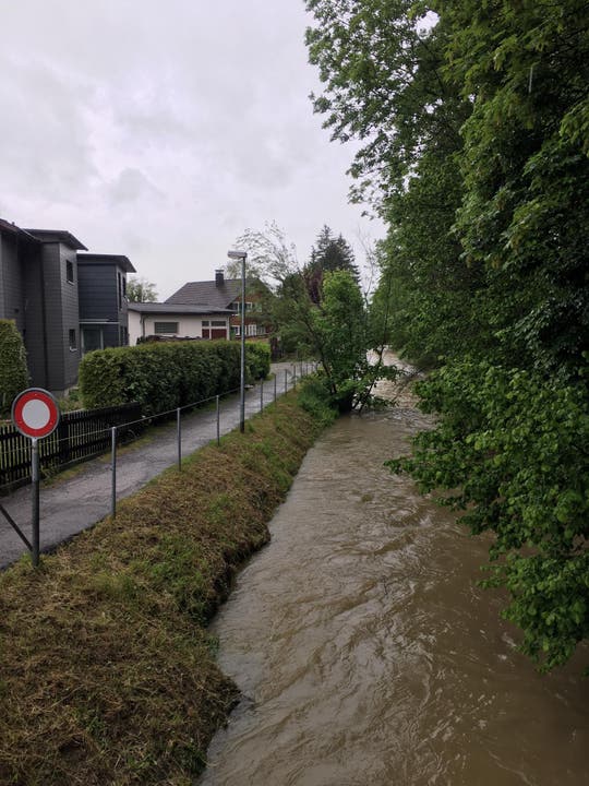 Auch dieser Bach in Weinfelden führt viel Wasser. (Bild. Raphael Rohner)