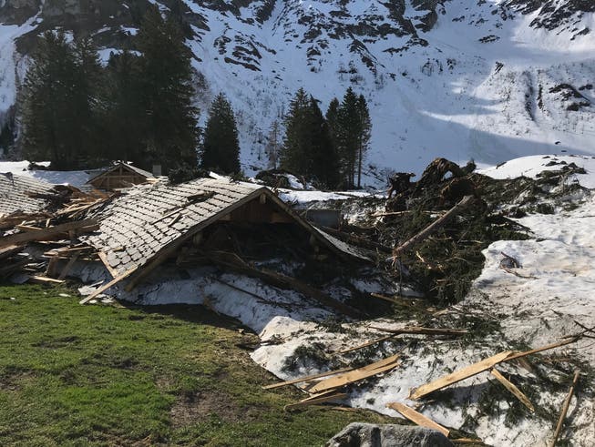 Totalschaden: Eine Lawine zerstörte im Januar die Hütte von Jörg Scherrer auf der Säntisalp. Zuvor gab es auf dieser Alp nie so grosse Schäden. (Bild: PD)