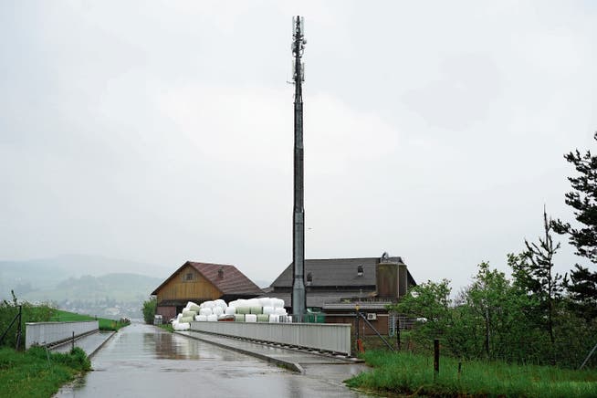 Wo die Lindenbergstrasse die Autobahn kreuzt, steht die erste 5G-Antenne im Kanton. (Bild: Johannes Wey)