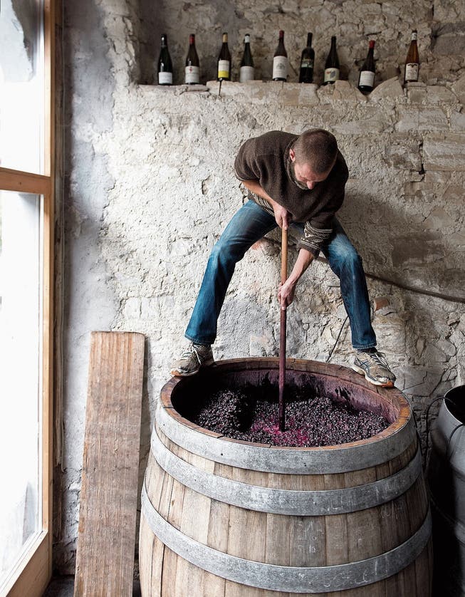 Winzer Markus Ruch rührt die Pinot-Noir-Maische im Gärfass regelmässig von Hand um. (Bild: Karin Hofer/NZZ)