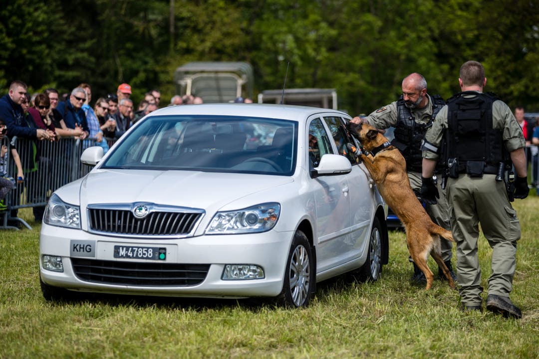 Demonstration mit einem Hund bei der Militärpolizei. (Bild: Philipp Schmidli, Emmen, 25. Mai 2019)