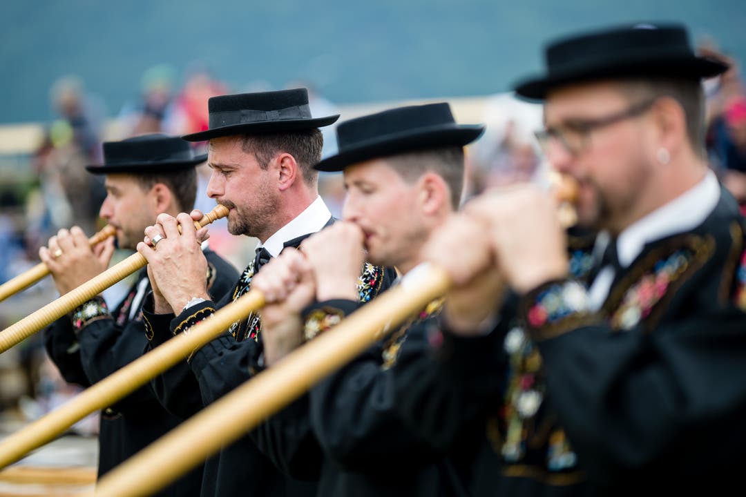 Alphornbläser am Ob- und Nidwaldner Kantonalschwingfest. (Bild: Philipp Schmidli, Oberdorf, 26. Mai 2019)