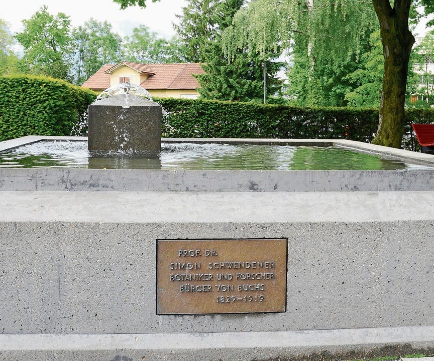 Gedenkbrunnen mit Inschrifttafel im Rathauspärkli Buchs. (Bild: Hansruedi Rohrer)