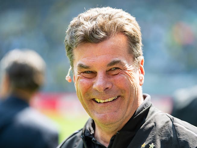 Neuer Trainer des HSV: Dieter Hecking (Bild: KEYSTONE/DPA/GUIDO KIRCHNER)