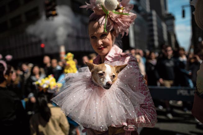 Menschen leisten sich immer mehr Aufwand für ihre Tiere: Halterin mit Hund an der New Yorker Oster-Parade. Bild: Johannes Eisele/AFP (21. April 2019)