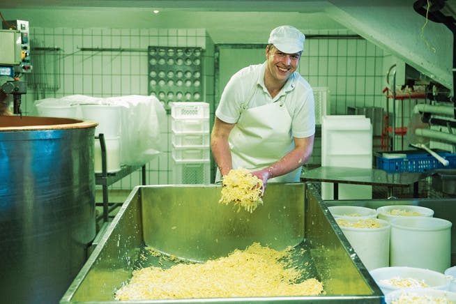 Walter Grob bei der Produktion von «Cheese-Curds». Die Streifen aus jungem Käse stehen am Anfang der Cheddar-Produktion. (Bild: Dominik Wunderli, Engelberg, 25. April 2019)