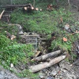 Forst-Lernende errichten in Gamser Wildbach neue Bachsperren