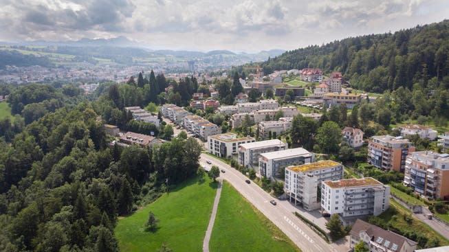 Blick von Wittenbach Richtung St.Gallen und Säntis: Hier an der Gemeindegrenze wächst die Stadt mit ihrer Nachbargemeinde nahtlos zusammen. (Bild: Ralph Ribi)