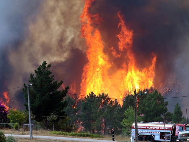 Die jüngsten Waldbrände in Portugal haben 70 Quadratkilometer Gehölz zerstört. Die Flammen waren am Montag zu 90 Prozent unter Kontrolle. (Bild: KEYSTONE/EPA LUSA/ANTIONIO JOSE)