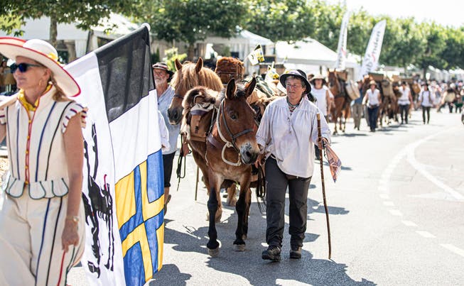 Die Säumer laufen mit ihren Pferden und einer offiziellen Bündner Delegation in festlicher Atmosphäre an der «Fête des Vignerons» ein. (Bild: Andrea Badrutt, Vevey, 23. Juli 2019)