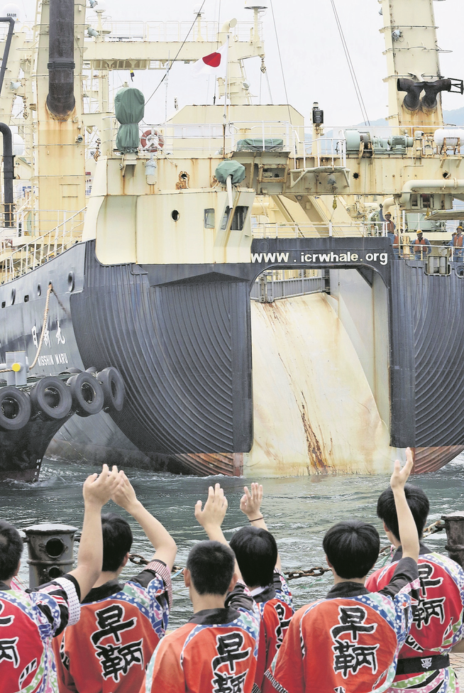 Das Walfang-Schiff Nisshin Maru läuft aus. Bild: Yomiuri Shimbun/AP (Shimonoseki, 1. Juli 2019)