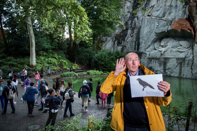 Der Medienkünstler Andreas Weber realisiert im Park beim Luzerner Löwendenkmal eine Sound-Installation mit den Stimmen ausgestorbener Tiere, vor allem Vögel. Bild: Boris Bürgisser (Luzern, 12. August 2019)