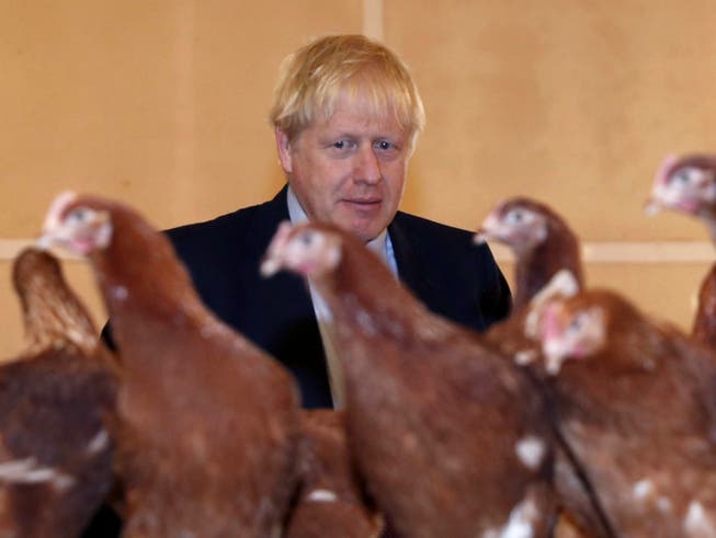 Der britische Premierminister Boris Johnson beim Besuch einer Hühnerfarm in St. Brides Wentlooge in Südwales. (Bild: KEYSTONE/AP Pool AFP/ADRIAN DENNIS)