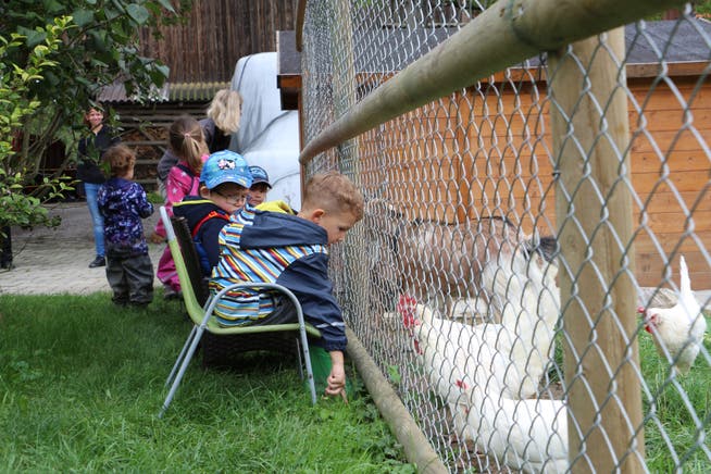 Kinder und Tiere kommen sich auf dem Bauernhof näher. (Bild: Hannelore Bruderer)