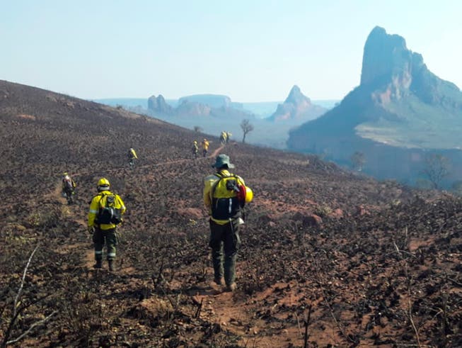 Waldbrandgebiet in der Provinz Santa Cruz in Bolivien. (Bild: KEYSTONE/AP Santa Cruz governor's office/JOSE SALVATIERRA)