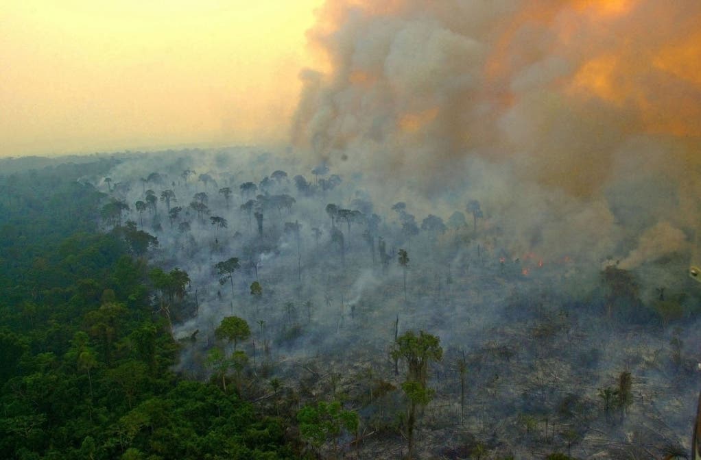 Der Amazonas brennt. (Bild: Keystone/Twitter/Ibama)