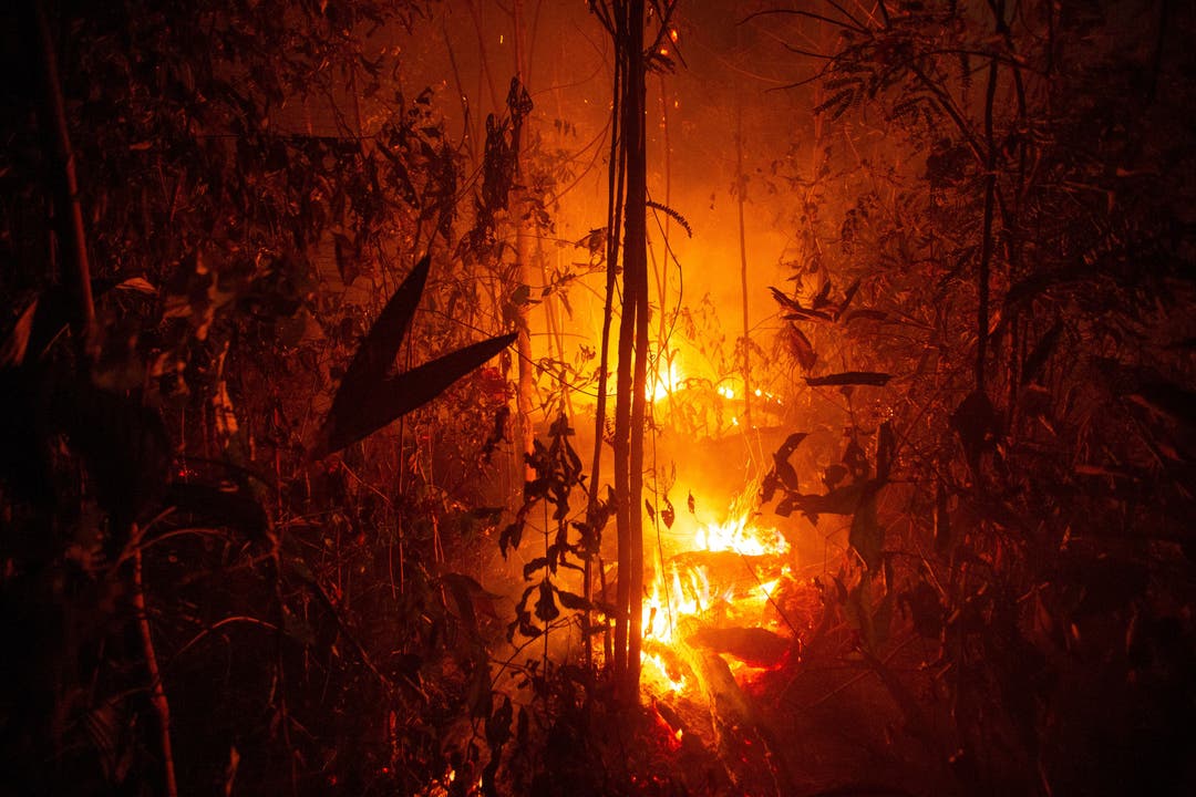 Seit Januar nahm die Zahl der Feuer und Brandrodungen im grössten Land Südamerikas im Vergleich zum Vorjahreszeitraum nach Angaben der brasilianischen Weltraumagentur INPE vom Sonntag um 82 Prozent zu. (Bild: Joedson Alves)