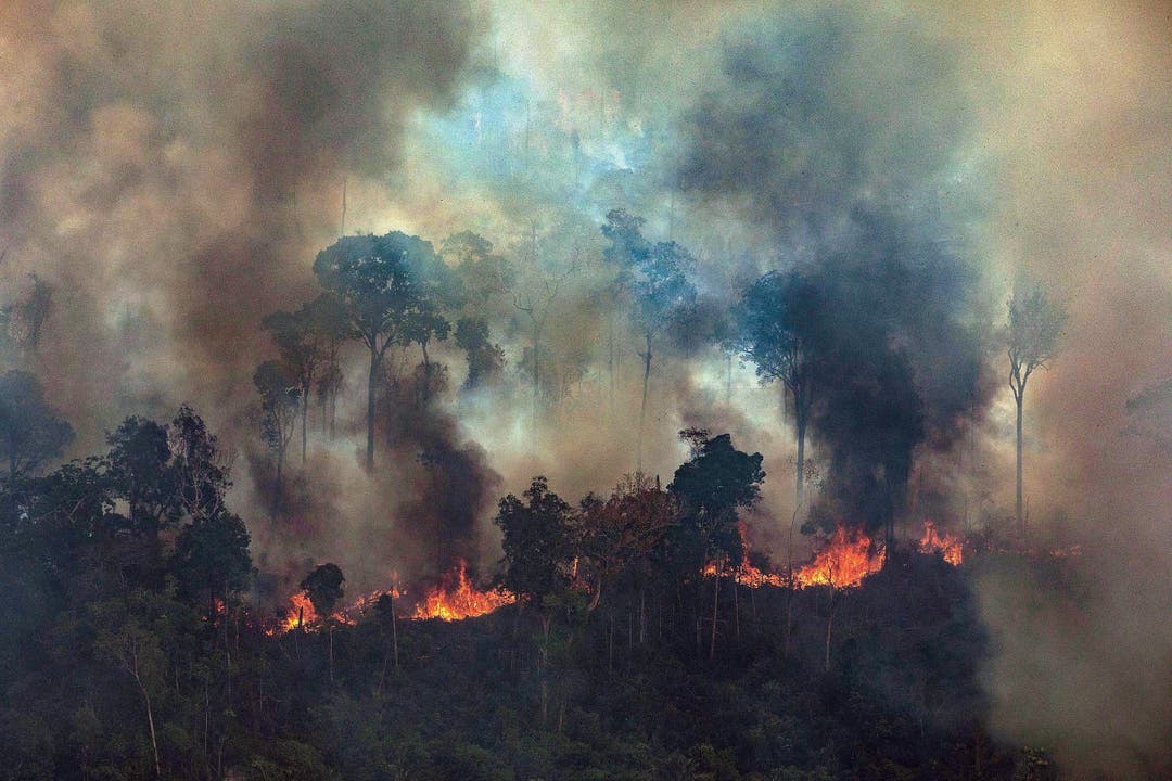 In Brasilien wüten derzeit die schwersten Waldbrände seit Jahren. (Bild: Victor Moriyama / Greenpeace Bra)
