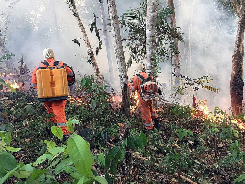 Die Löscharbeiten gestalten sich schwierig. (Bild: Porto Velho Firefighters HANDOUT)