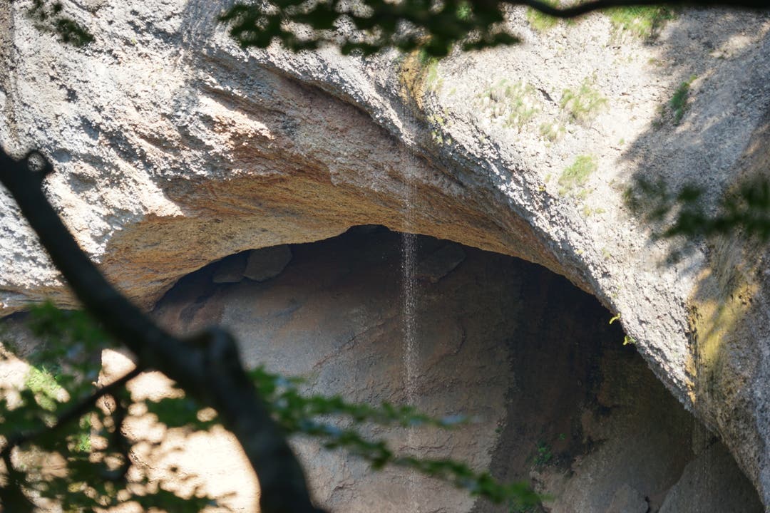 Durch das Gehölz erkennt man die gegenüberliegende Talseite, wo sich eine grosse linsenförmige Höhle auftut.