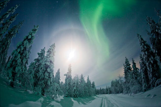 Die Nordlichter verzaubern die Winterlandschaft aber auch die Menschen. (Bild: Aurora Boreal)