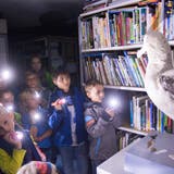 Im Naturmuseum können Kinder Möwen und andere Vögel im Schein der Taschenlampe aufspüren. (Bild: Ralph Ribi, 5.9.2015)