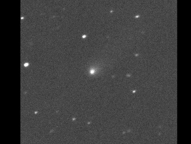 Der Komet 2I/Borisov ist bereits der zweite Besucher aus einem anderen Sonnensystem. (Bild: Canada-France-Hawaii Telescope/Nasa)