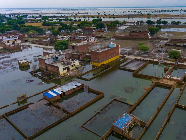 Verheerende Fluten nach tagelangen Monsun-Regen in Indien. Mindestens hundert Personen kamen ums Leben. (Bild: KEYSTONE/AP/RAJESH KUMAR SINGH)