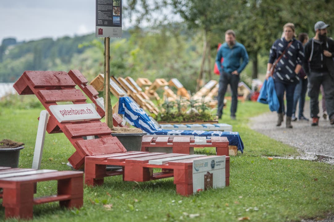 Liegestühle am Ufer des Sempachersees bei der Festhalle in Sempach. (Bild: Pius Amrein, 8. September 2019)