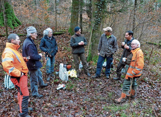 Sieben Naturfreunde im Hohentanner Wald.