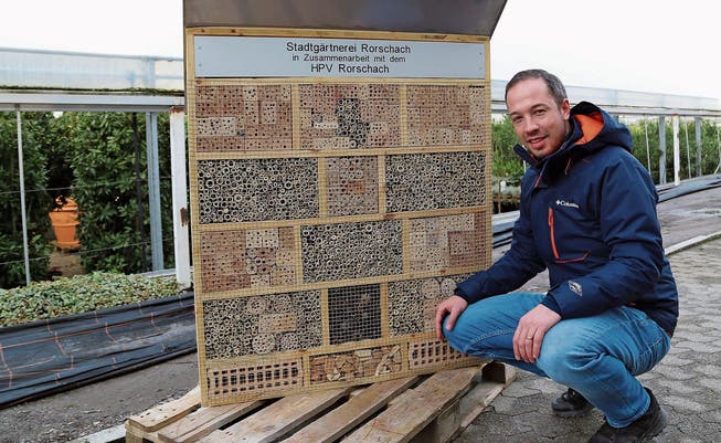 Seit Mai 2019 leitet Michael Heggli die Rorschacher Stadtgärtnerei. Eines seiner Projekte ist das Insektenhotel.