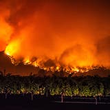 Brände in Nordkalifornien wüten weiter - Mindestens vier Tote