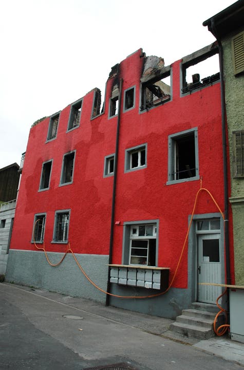 Der Rebstock in Klingnau nach dem Grossbrand im Jahr 2010.