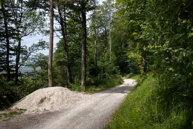 Steter Unterhalt in den Wäldern ist essenziell: Ein Waldweg oberhalb von Oensingen.