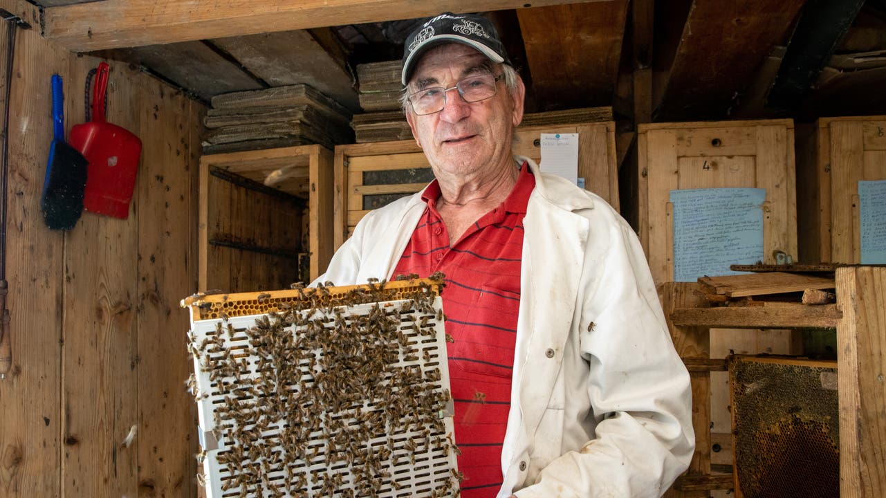 Remy Horisberger zeigt eine Bienenwabe