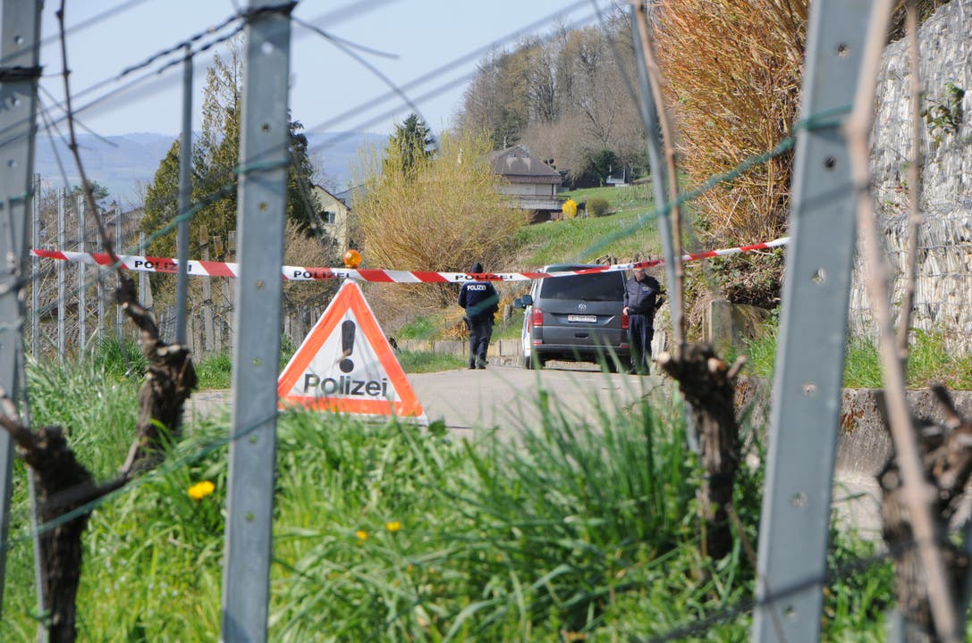 Schon am 22. März hatte die Polizei Rückstände eines Knallkörpers in den Reben gefunden.