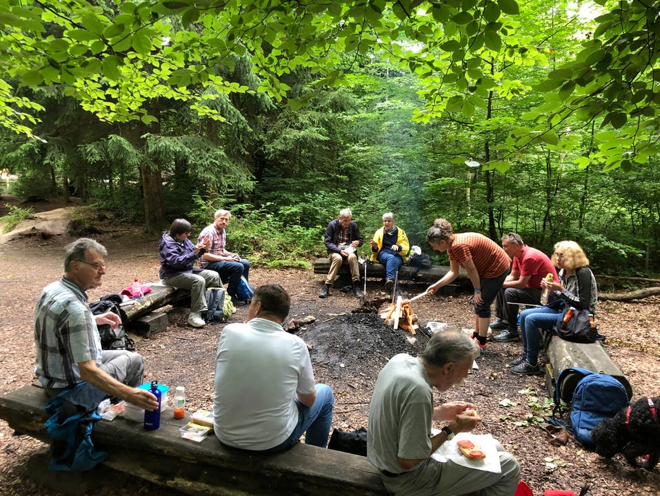 Mittagsrast am Binsenweiher In der Kühle des Waldes