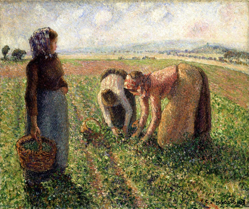 «Die Erbsenernte, Eragny» von Camille Pissarro (1893).