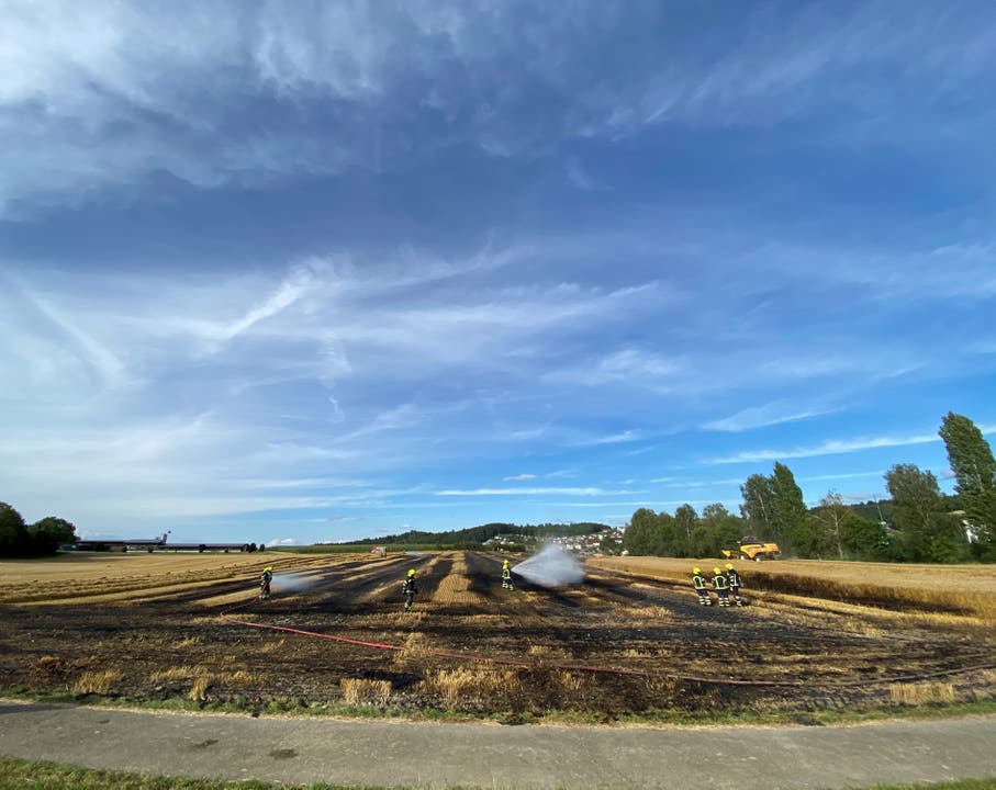 Sarmenstorf AG, 25. Juli: Es verbrannte eine Getreidefläche von etwa 1500m2.