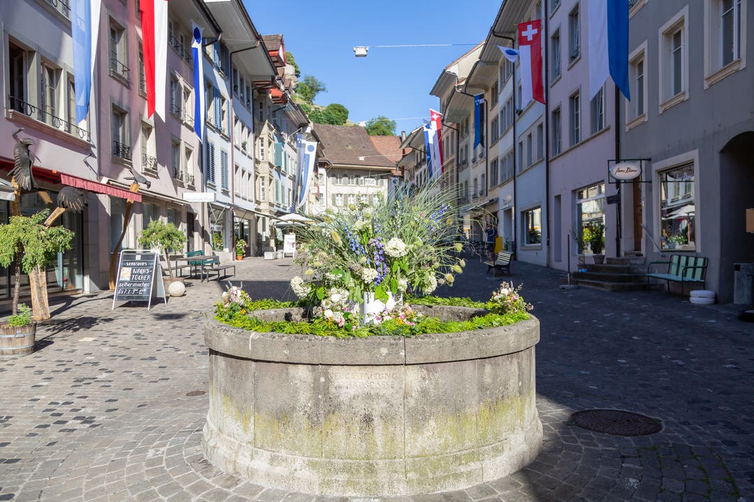 Die schönsten Brunnen vom Jugendfest Lenzburg 2020: Der Sodbrunnen