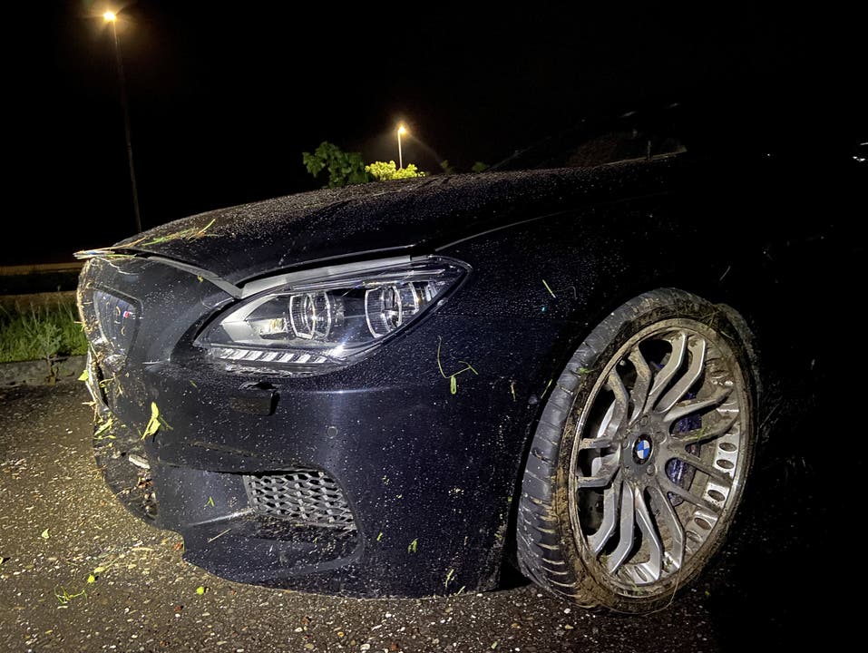 Bei Regen und nasser Fahrbahn hatte der Neulenker die Kontrolle über den BMW verloren.