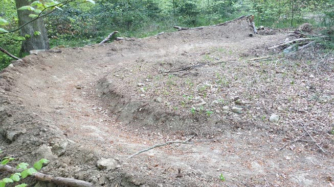 Unbekannte bauten illegalerweise einen Bike-Trail im Siggenthaler Wald.