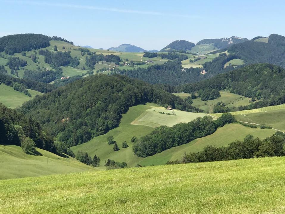Hügelige Landschaft im Baselbiet Foto: N.E.