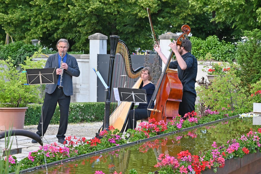 Tobs-Konzert im Oltner Klostergarten