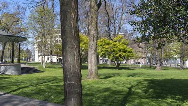 Der Raub ereignete sich in der Basler Elisabethenanlage vor dem De-Wette-Schulhaus.