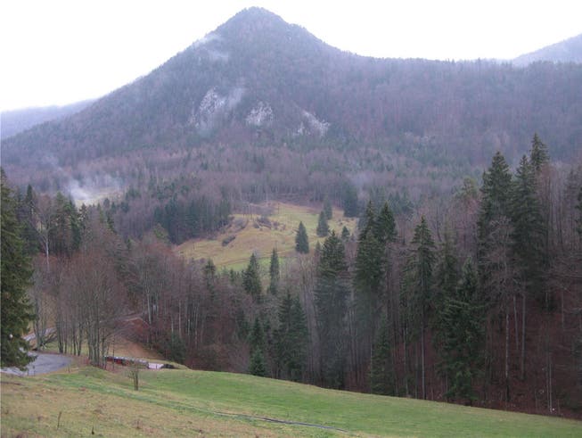 Der Dilitsch: Heute bezeichnet der Name eine Felsformation (Bildmitte) in Gänsbrunnen, in der steilen bewaldeten Flanke nordwestlich des Hinteren Weissensteins.
